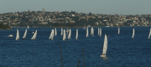 etchells at a regatta